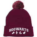 Harry Potter Hogwarts Pom Pom Beanie 1