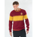 Harry Potter Gryffindor Adult Varsity Jumper 1