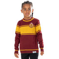 Harry Potter Gryffindor Child Varsity Jumper 1
