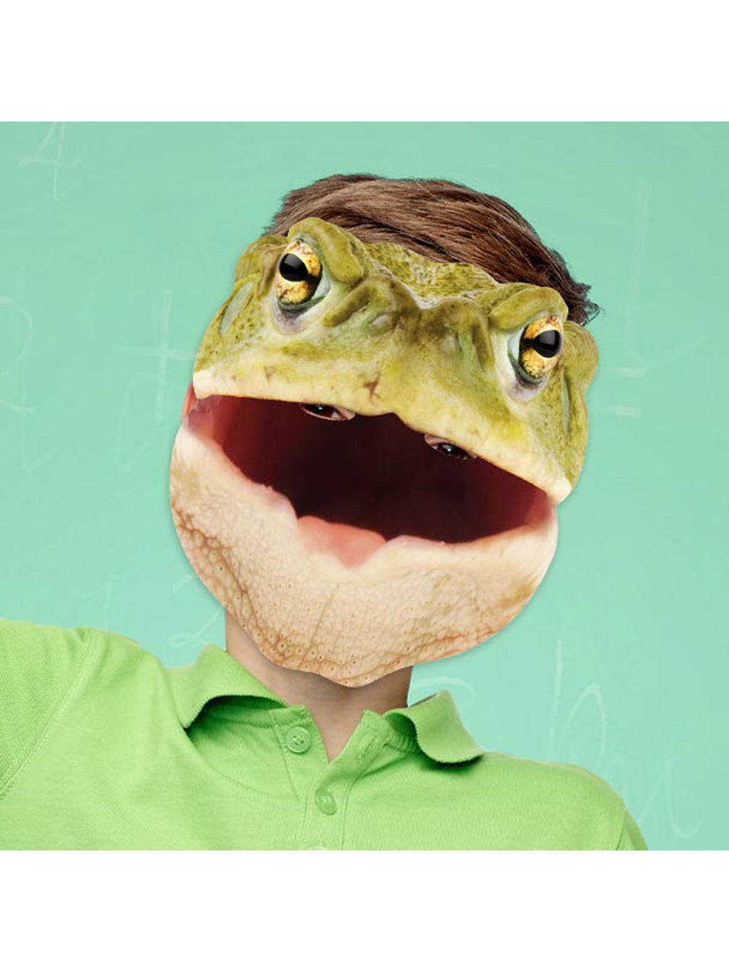 Toad Animal Mask 2