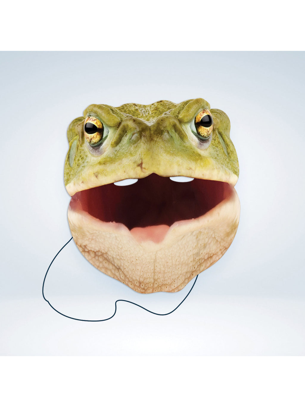 Toad Animal Mask 3