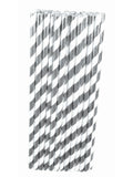 Paper Straws 24 Pack 1