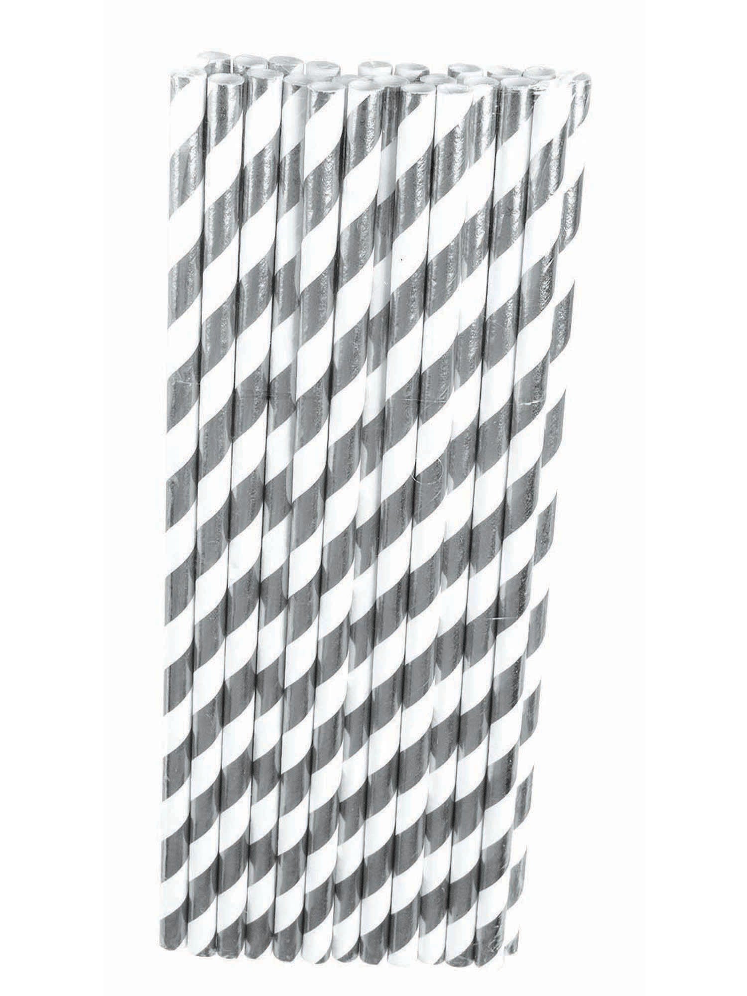 Paper Straws 24 Pack 1