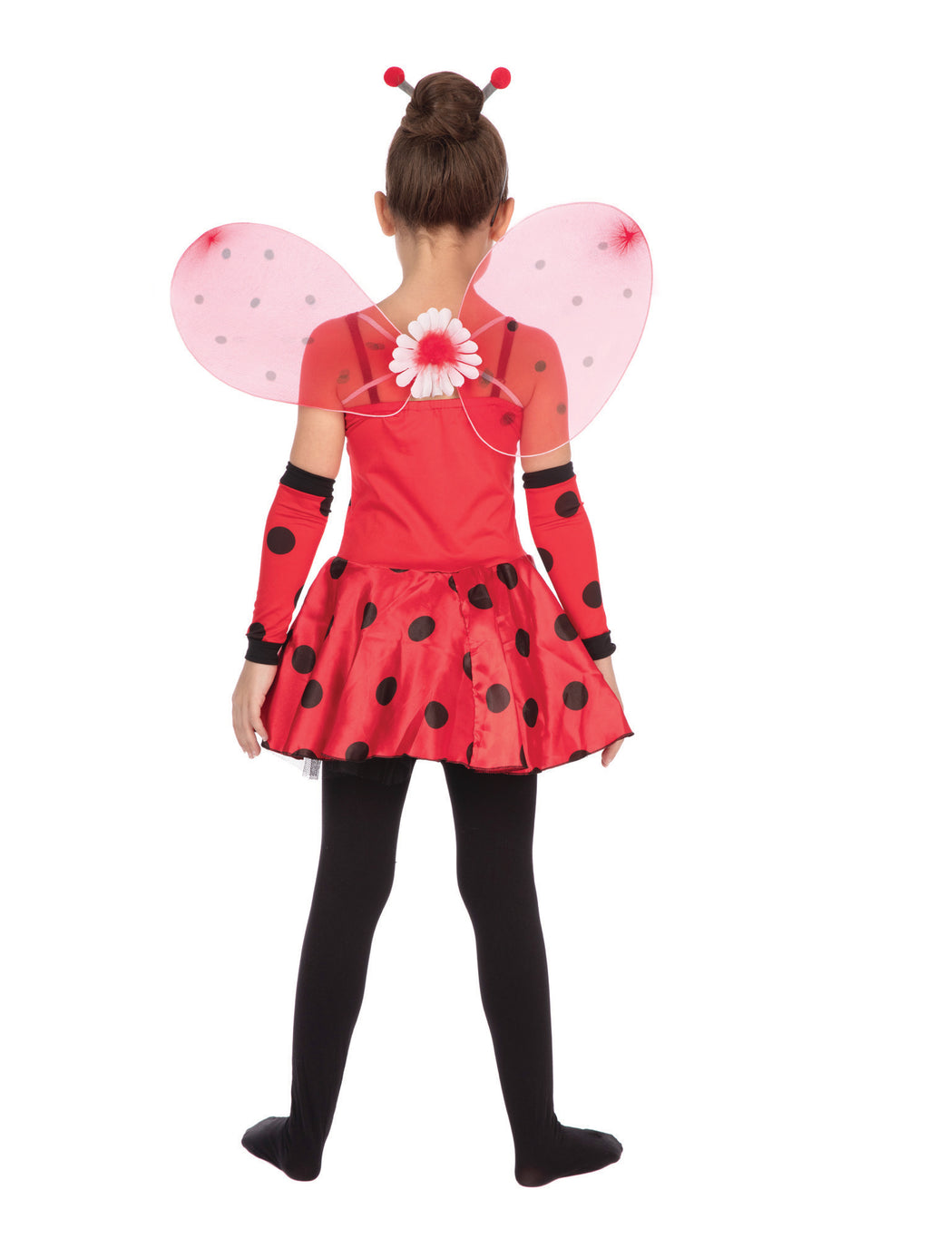Ladybug 1