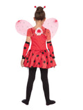Ladybug 1