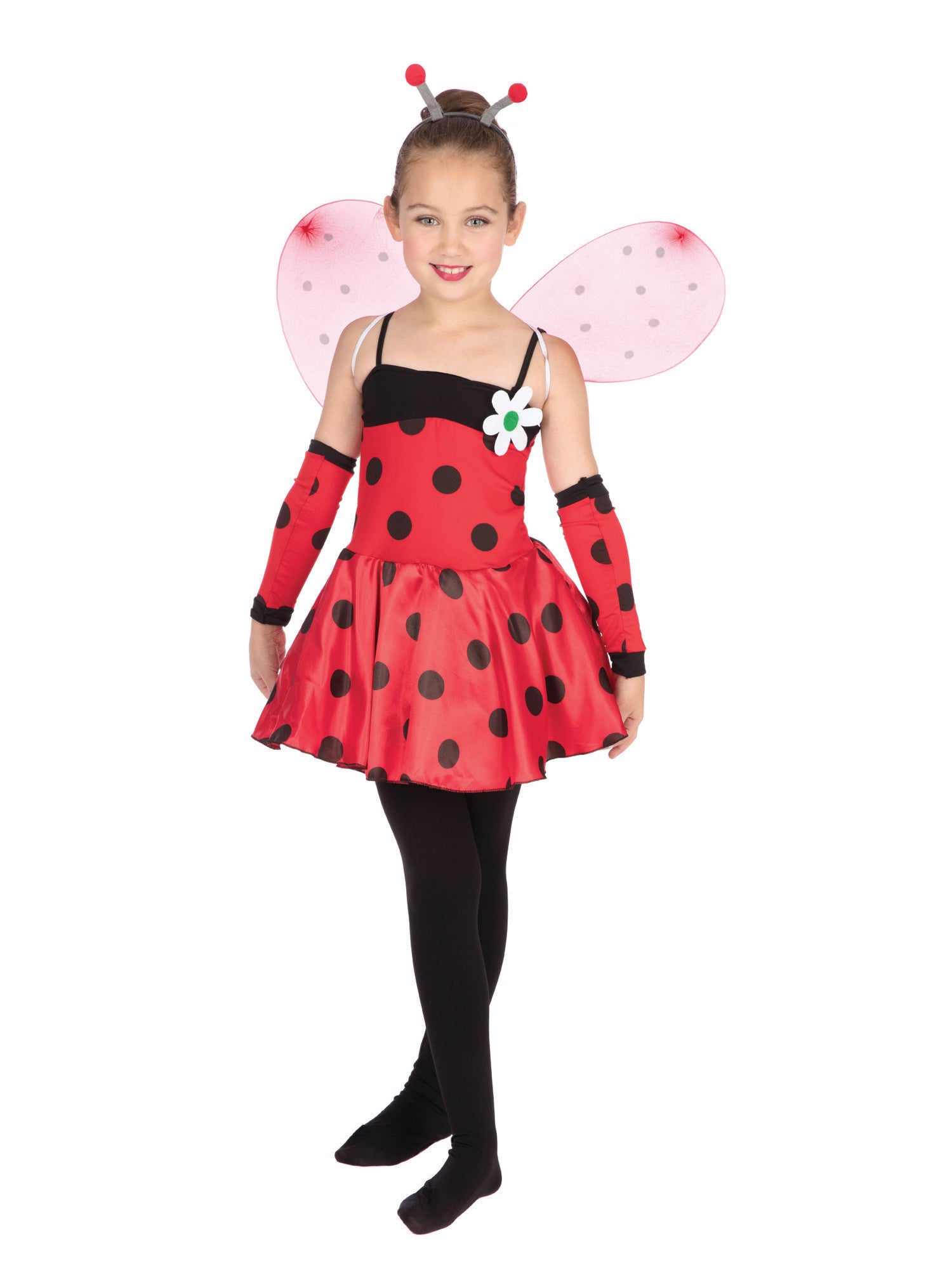 Ladybug 2